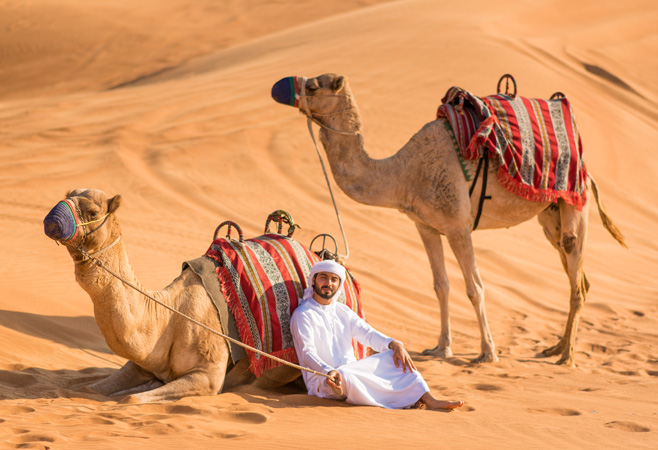 Traditional kandura walking in the desert with camels