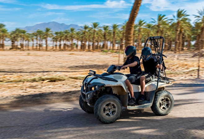 Auto sport activities among date palm plantations in desert areas of the Middle East