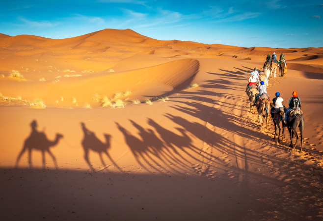 Camel Ride and Desert Excursion