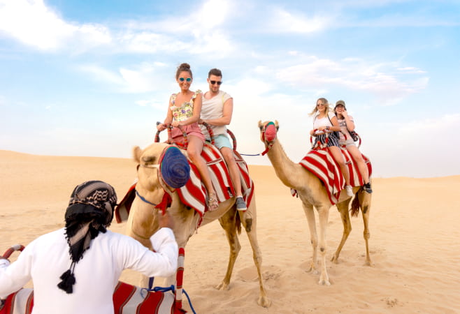 Camel rides in the desert, Kuwait
