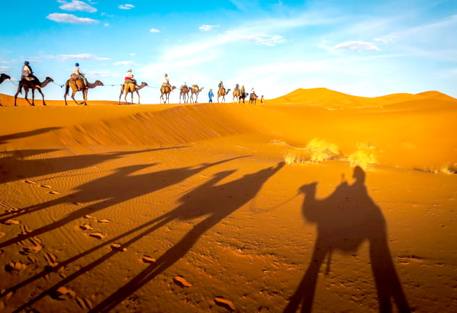 Camels trekking guided safari tours in Merzouga Morocco Sahara desert camel tour with berber guide