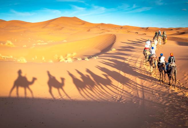 Camels trekking guided safari tours in Merzouga Morocco Sahara desert