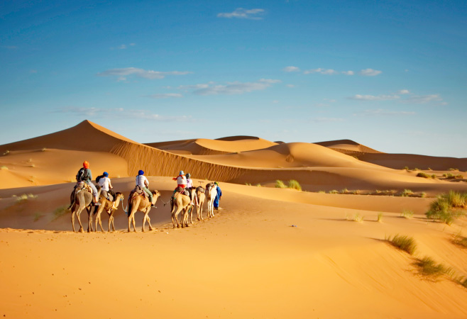 Sahara Desert camel trekking tours