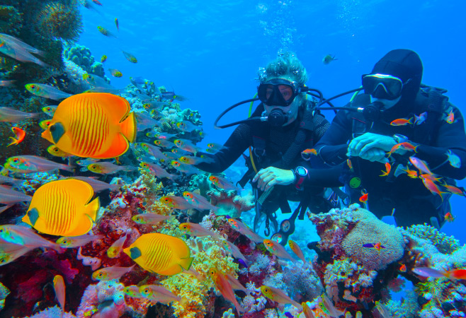 Scuba Diving in Kuwait